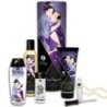 Shunga - Kit Colección Placeres Carnales de Shunga Kits | Piumer