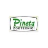 Pineta