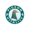 Pigeon Vitality